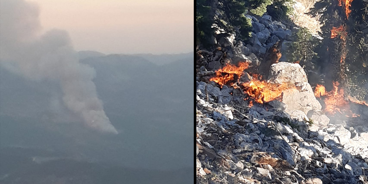 Kahramanmaraş’taki orman yangını!