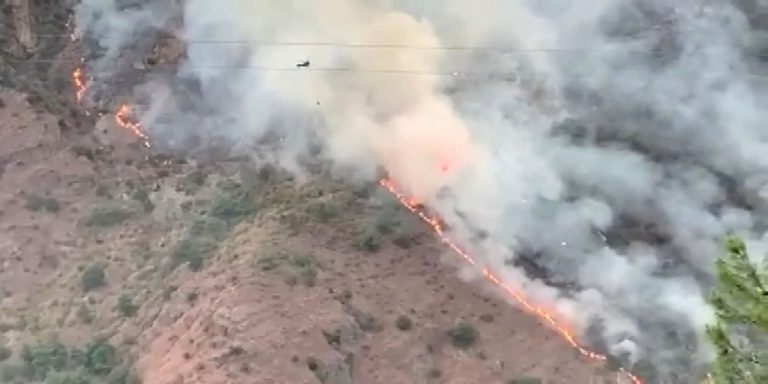 Kahramanmaraş’taki orman yangını söndürüldü.