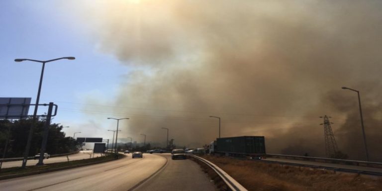 Hatay’da orman yangınına müdahale ediliyor. Antrepo sahasındaki yangın