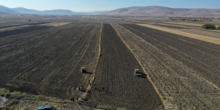 Elbistan’da 10 bin yıllık geçmişi olan Siyez buğdayı ekimi yapıldı