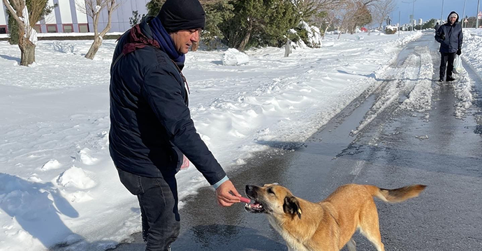 KSÜ öğrencileri sokak hayvanlarını elleriyle besledi!