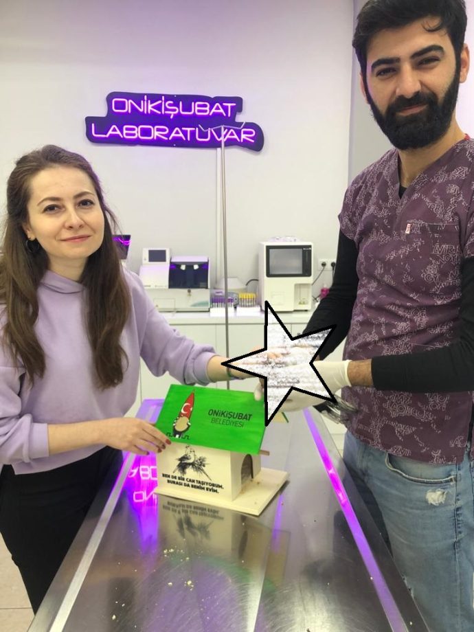 Onikişubat belediyesi balkonuna düşen hayvan
