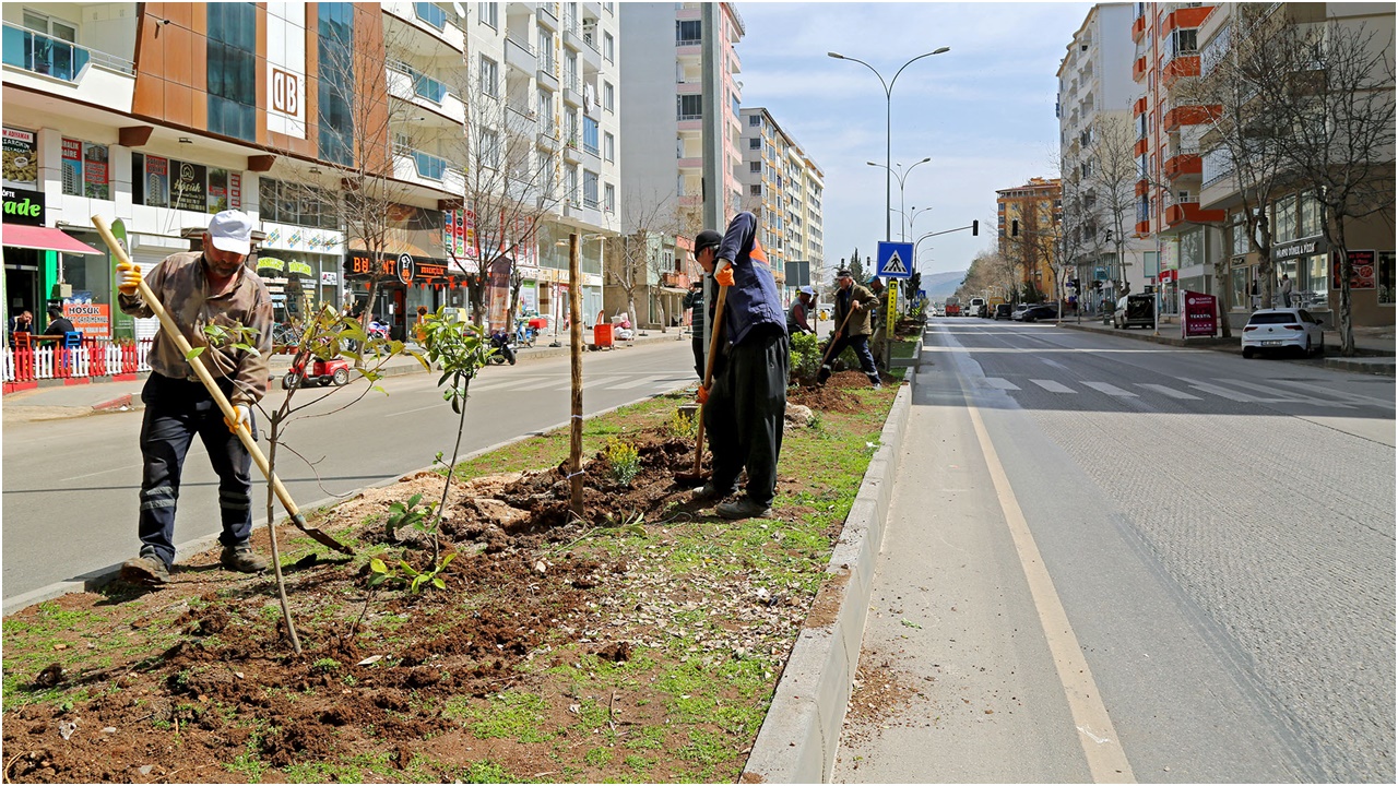 Kahramanmaraş’ta  cadde ve bulvarlar bitkilerle donatılıyor