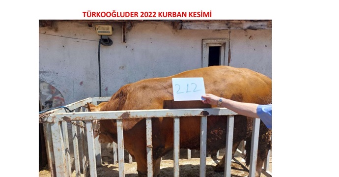 Kahramanmaraşlılar Birlikte Kurban Kesecek