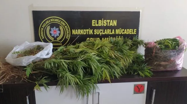 Kahramanmaraş’ta İş Yerine Kenevir Operasyonu