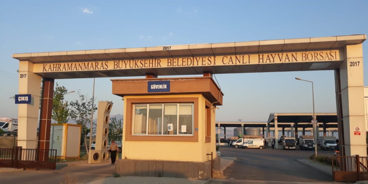 KAHRAMANMARAŞ CANLI HAYVAN BORSASI