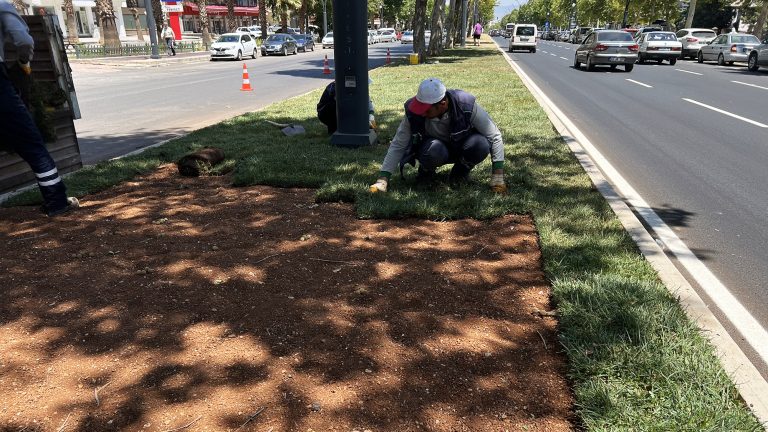 Binevler Cadde Yenileme Projesinde<br>Asfalta Geçildi