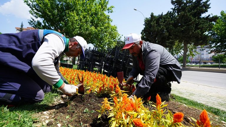 Kahramanmaraş Çiçek Açıyor