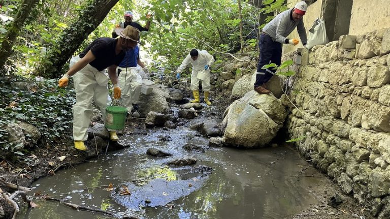 Ilıca’da Detaylı Temizlik ve İlaçlama Çalışması Gerçekleştirildi