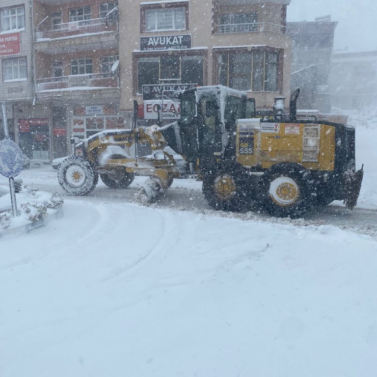 Büyükşehir, Şehir Genelinde Kar Mesaisinde