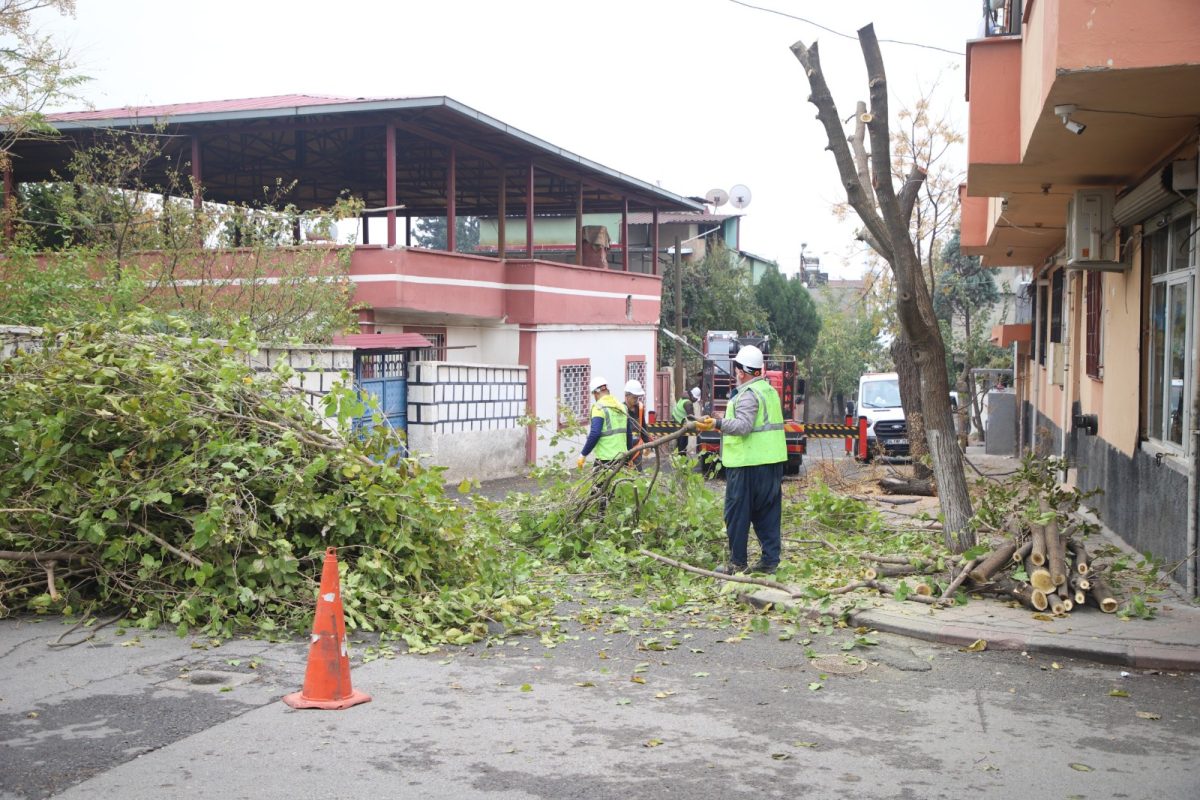 Dulkadiroğlu Belediyesi’nden Yeşil Alanlara Tam Destek