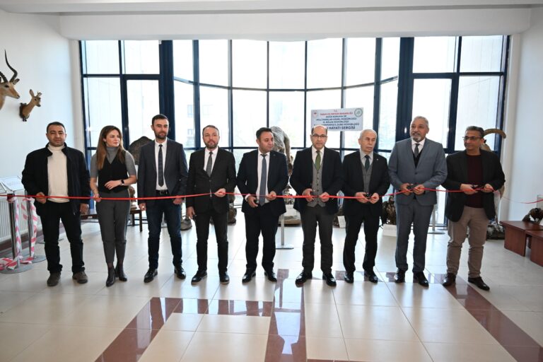 KSÜ’de “Kahramanmaraş’ta Yaşayan Yaban Hayvanları Tahnit Sergisi” Açıldı