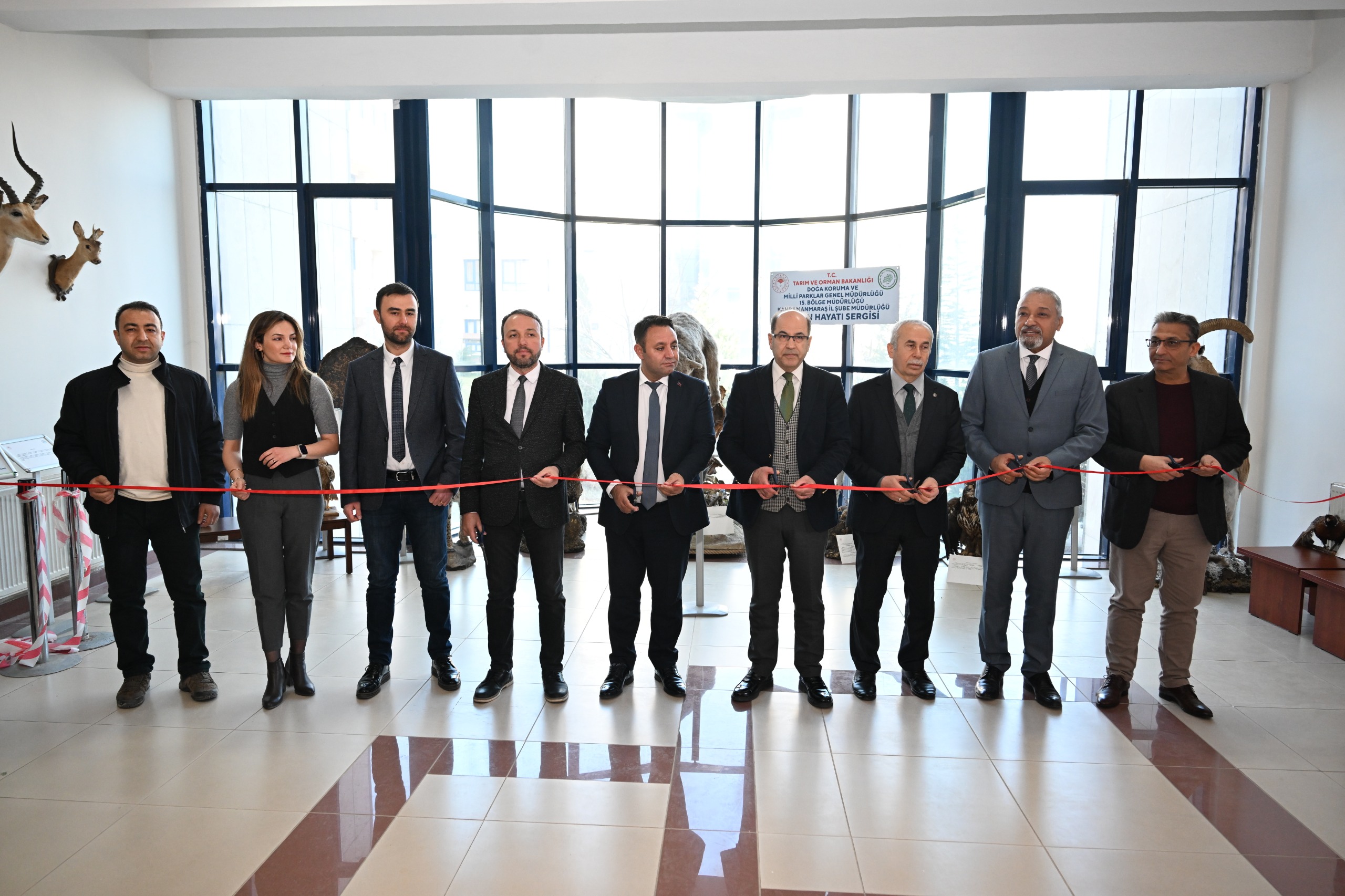 KSÜ’de “Kahramanmaraş’ta Yaşayan Yaban Hayvanları Tahnit Sergisi” Açıldı