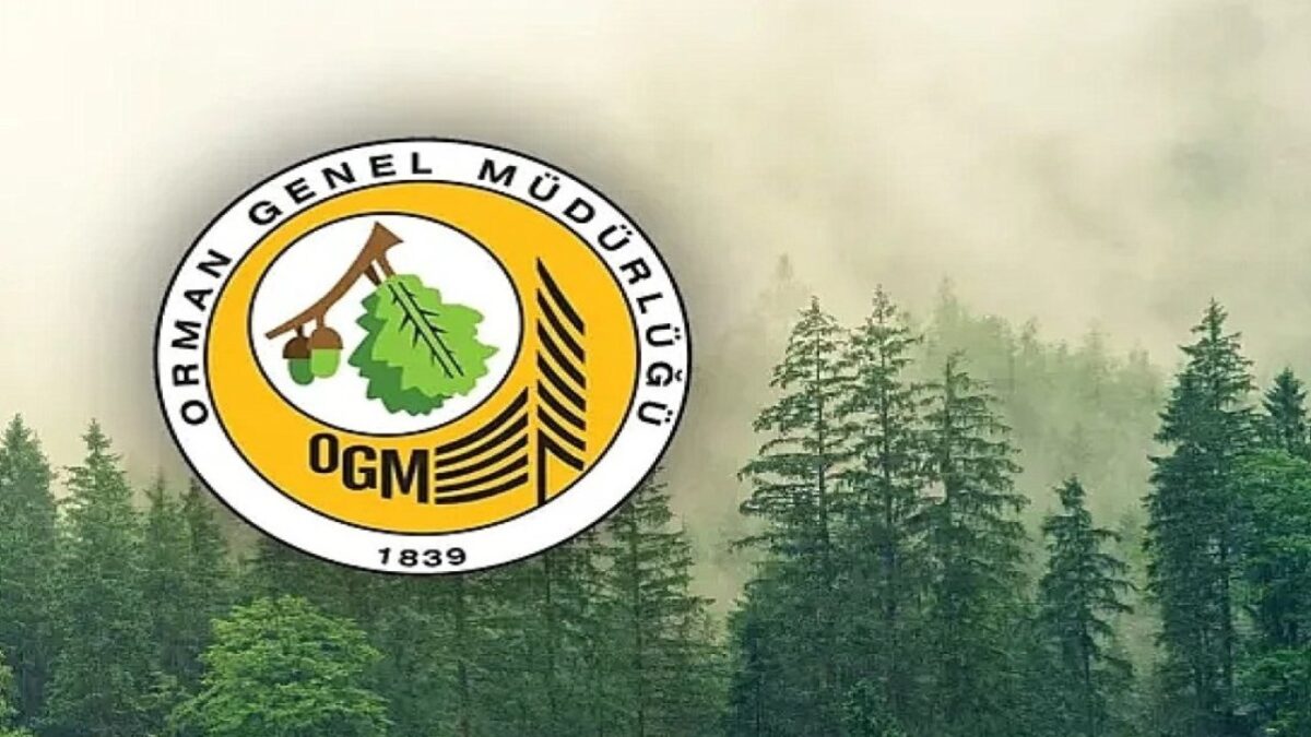 Orman Genel Müdürlüğü Kahramanmaraş’ta 92 Geçici İşçi Alımı Yapacak!