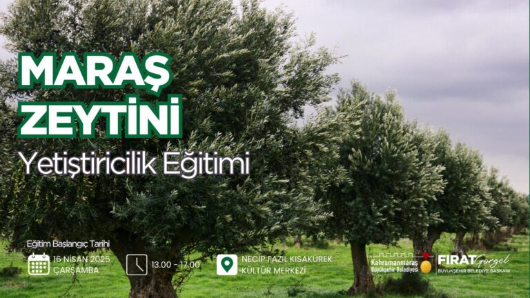 Büyükşehir’den Zeytin Üretimine Katma Değer; Maraş Zeytini Yetiştiriciliği Eğitimi