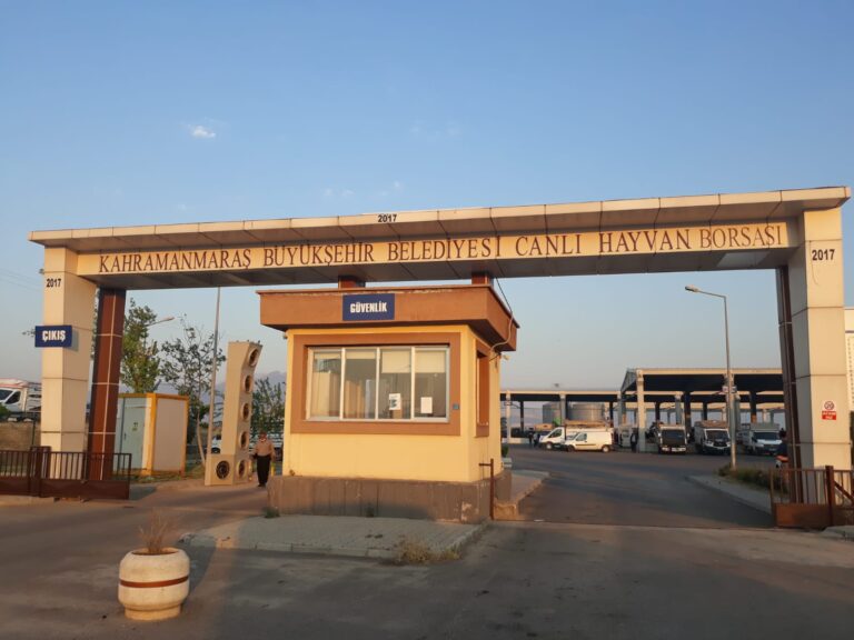 Kahramanmaraş Kurbanlık Hayvan Satış Fiyatları Belirlendi