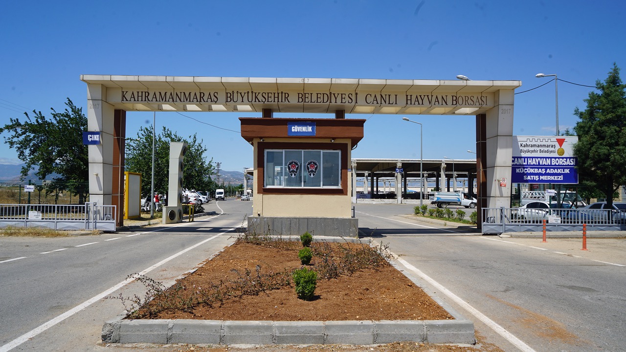 Hayvan Borsası’nda Hazırlıklar Tamamlandı 