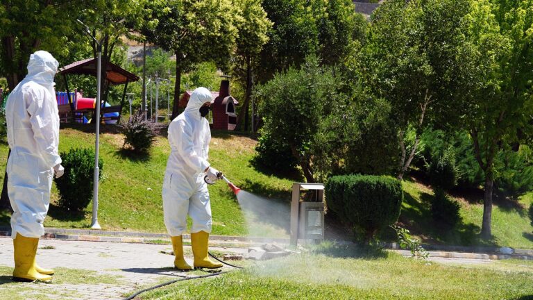 Kene Tehdidine Karşı Büyükşehir Sahada