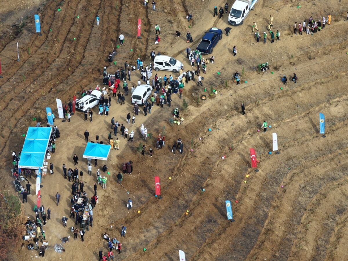 Onikişubat Belediyesi, Milli Ağaçlandırma Günü’nde yangından etkilenen alanları yeniden yeşertti