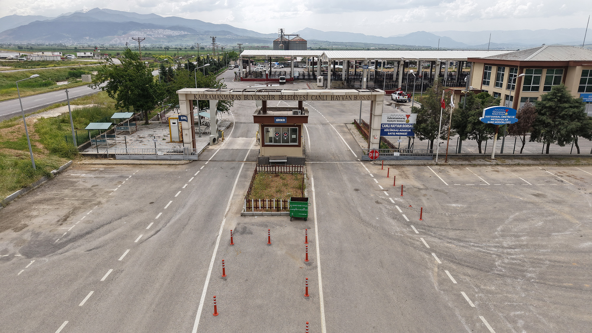 Canlı Hayvan Borsası Kurban Bayramı’na Hazır; Kurbanlık Satışları Başlıyor