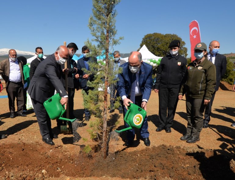 Kahramanmaraş’ta bin adet fidan toprakla buluştu