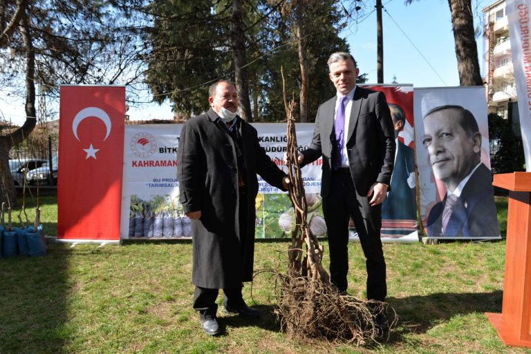 Ceviz fidanı dağıtıldı.