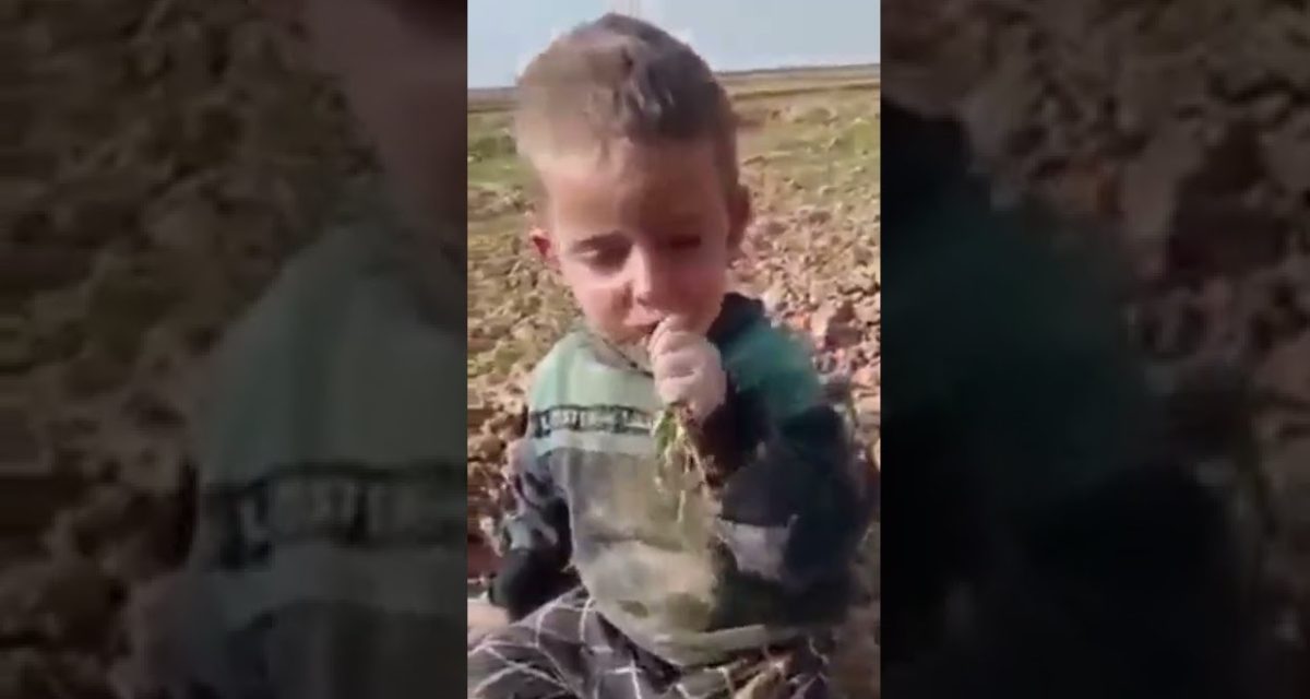 Açlıktan çimen yedi !