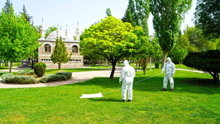 Büyükşehir Zararlılarla Mücadele Mesaisinde￼