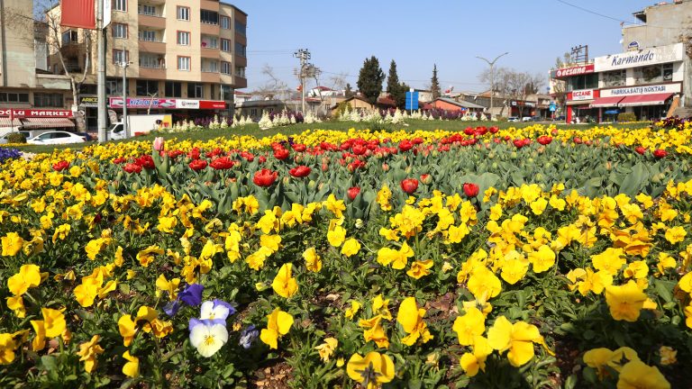 Şehir çiçeklerle renklendi