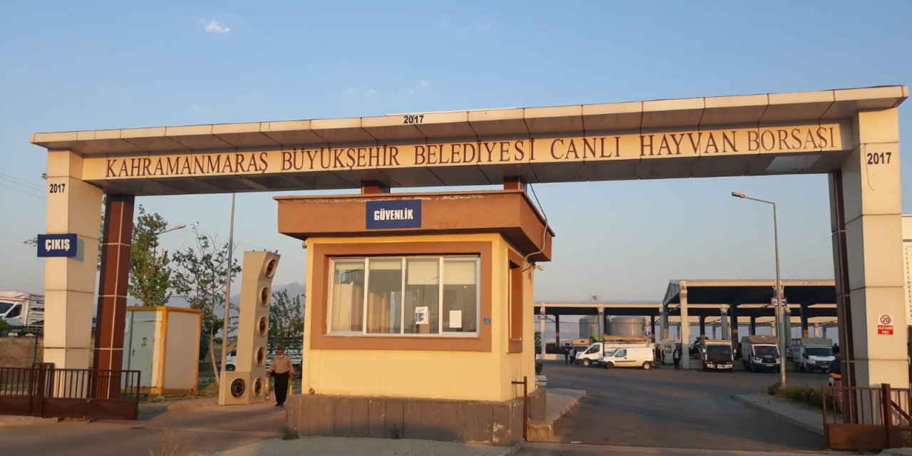 KAHRAMANMARAŞ CANLI HAYVAN BORSASI