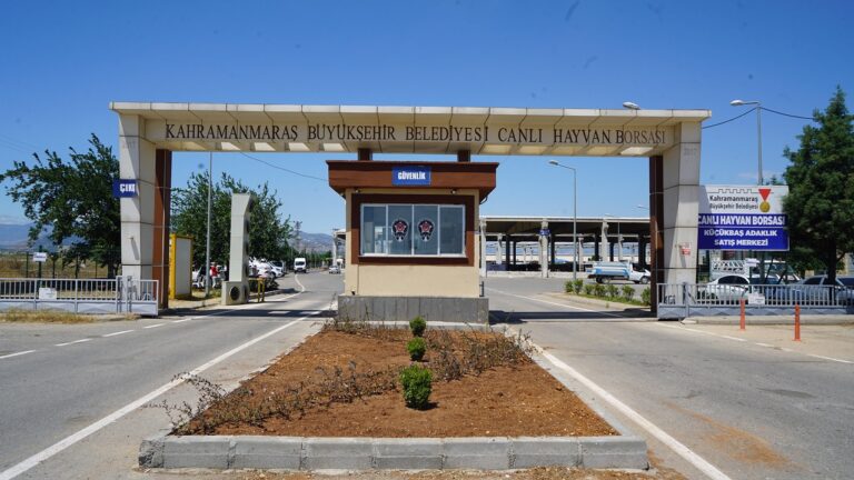 Hayvan Borsası’nda Hazırlıklar Tamamlandı 