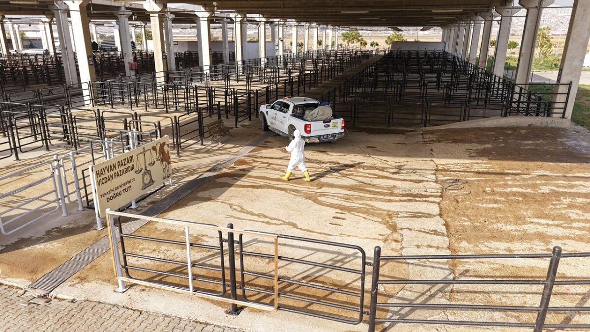Büyükşehir’den Canlı Hayvan Pazarı’nda Halk Sağlığı İçin Kapsamlı Çalışma